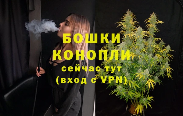 ГАЛЛЮЦИНОГЕННЫЕ ГРИБЫ Медногорск